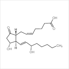 前列腺素e/363-24-6 