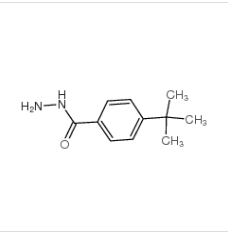 对叔丁基苯甲酰肼|43100-38-5 