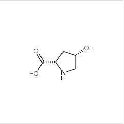 L-羟基脯氨酸|51-35-4 