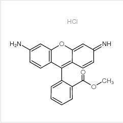 罗丹明 123|62669-70-9 