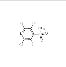 2,3,5,6-四氯-4-(甲磺酰)吡啶|13108-52-6 