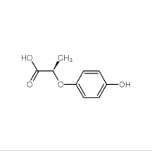 (R)-(+)-2-(4-羟基苯氧基)丙酸|94050-90-5 