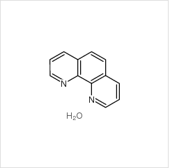 邻菲罗啉|5144-89-8 