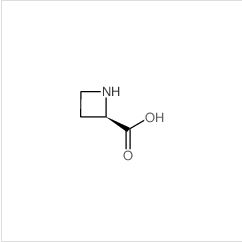 (R)-氮杂环丁烷-2-羧酸|7729-30-8 