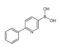 2-苯基吡啶-5-硼酸|155079-10-0 