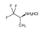 (S)-1,1,1-三氟异丙胺盐酸盐|125353-44-8 
