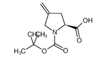 N-Boc-4-亚甲基-L-脯氨酸|84348-38-9 