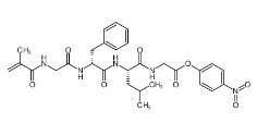 (N-methacryloylglycyl)-D-phenylalanyl-l-leucylglycine 4-nitrophenyl ester|264192-19-0	 