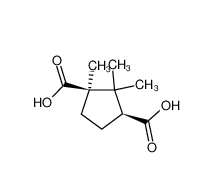 D-樟脑酸|124-83-4 