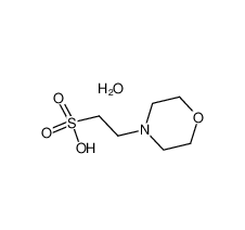 2-(N-吗啉)乙磺酸一水物|145224-94-8 