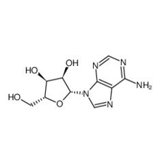 腺苷|58-61-7