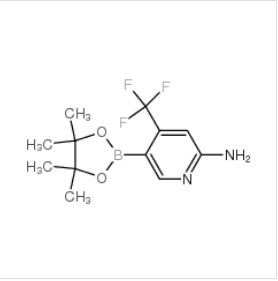 2-氨基-4-三氟甲基-5-吡啶硼酸哪醇酯|944401-57-4