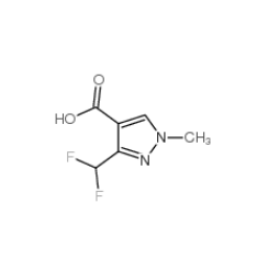 3-(二氟甲基)-1-甲基-1H-吡唑-4-羧酸|176969-34-9 