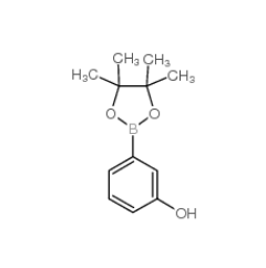 3-羟基苯硼酸频哪酯|214360-76-6