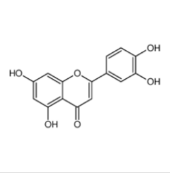 木犀草素|491-70-3