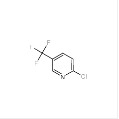 2-氯-5-三氟甲基吡啶|52334-81-3 