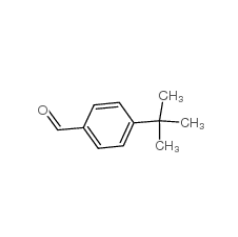 对叔丁基苯甲醛|939-97-9 