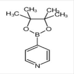 4-吡啶硼酸频哪醇酯|181219-01-2 
