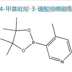 4-甲基吡啶-3-硼酸频哪醇酯|1171891-31-8 