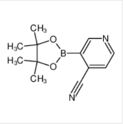 4-氰基吡啶-3-硼酸频哪醇酯|878194-91-3 