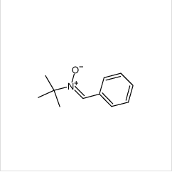 N-叔丁基-α-苯基硝酮|3376-24-7