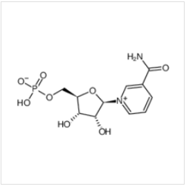 Β-烟酰胺单核苷酸|1094-61-7 