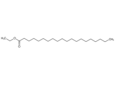 花生酸乙酯|18281-05-5