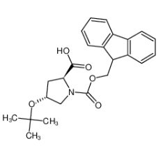 Fmoc-4-叔丁氧基-L-脯氨酸|122996-47-8 