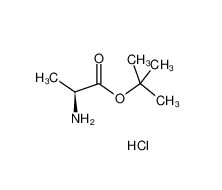 L-丙氨酸叔丁酯盐酸盐|13404-22-3