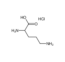 D-Ornithine monohydrochloride|16682-12-5 