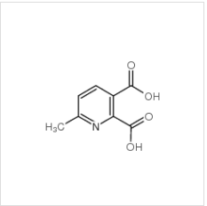 6-甲基-2,3-吡啶二羧酸|53636-70-7 