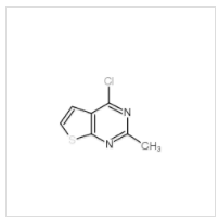 4-氯-2-甲基噻吩并[2,3-d]嘧啶|56843-79-9 