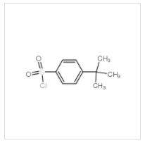 对叔丁基苯磺酰氯|15084-51-2 