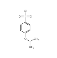 4-异丙氧基苯磺酰氯|98995-40-5 