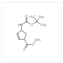 4-[[(1,1-二甲基乙氧基)羰基]氨基]-2-环戊烯-1-羧酸甲酯|168683-02-1