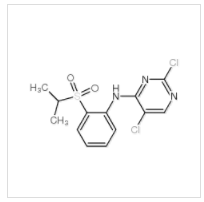 2,5-二氯-N-[2-[(1-甲基乙基)磺酰]苯基]|761440-16-8