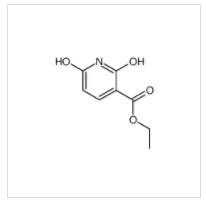 2,6-二羟基烟酸乙酯|40975-40-4 