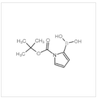 1-Boc-吡咯-2-硼酸|135884-31-0