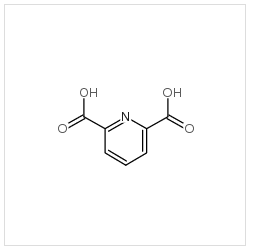 吡啶-2,6-二甲酸|499-83-2 