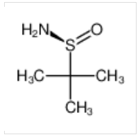 S-叔丁基亚磺酰胺|343338-28-3 