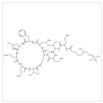 硫酸多粘菌素 B|1405-20-5 