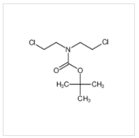 N,N-双(2-氯乙基)氨基甲酸叔丁酯|118753-70-1 