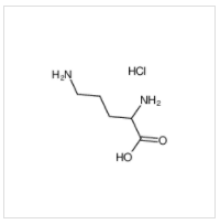 (±)-2,5-二氨基戊酸 单盐酸盐|1069-31-4