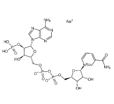 β-NADP钠盐|1184-16-3