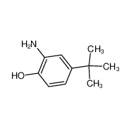 2-氨基-4-叔丁基酚|1199-46-8 