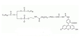 FITC-PEG-DSPE,N-二硬酯酰磷脂酰乙酰胺PEG荧光素 